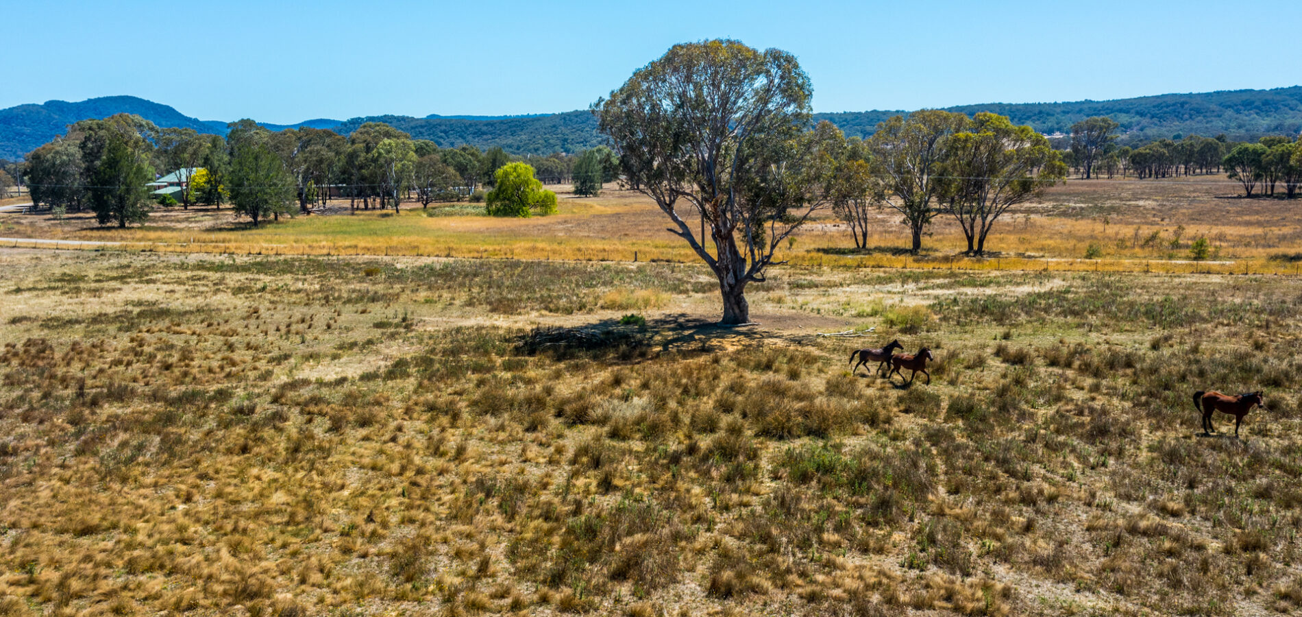 For Sale - 271 Pyangle Road - New Property in Rylstone - Real Estate by Sara Perry