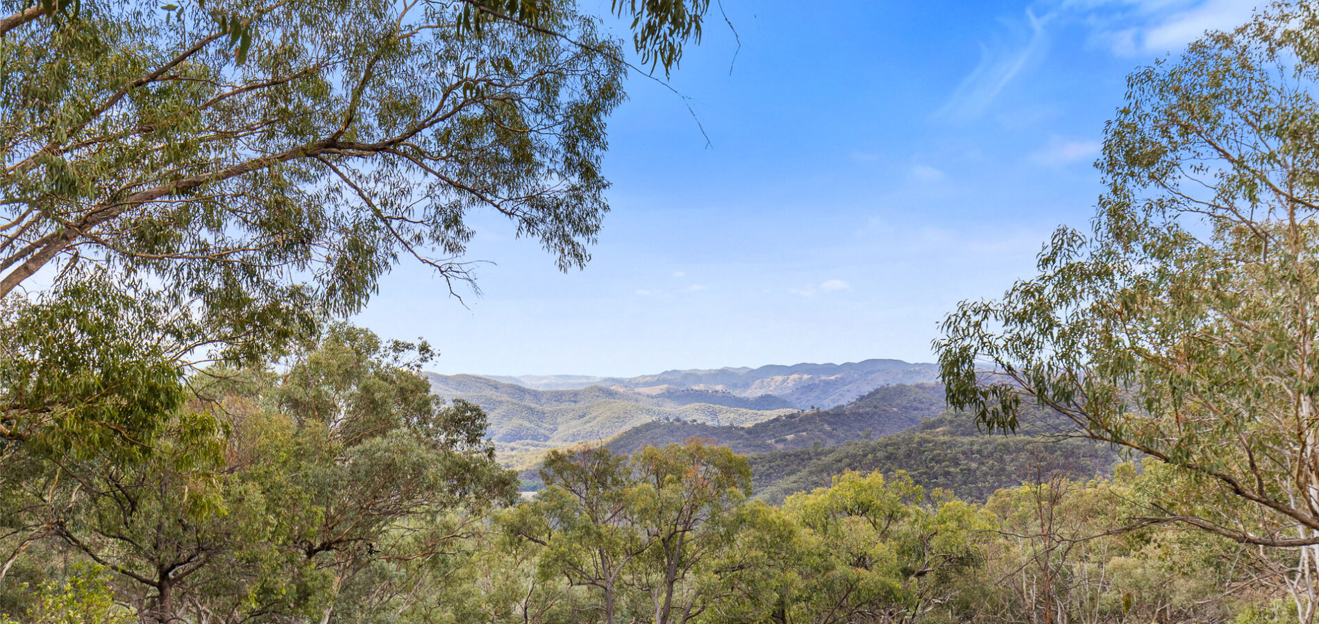 For Sale - 36 Wallawaugh Road - New Property in Hargraves - Real Estate by Sara Perry