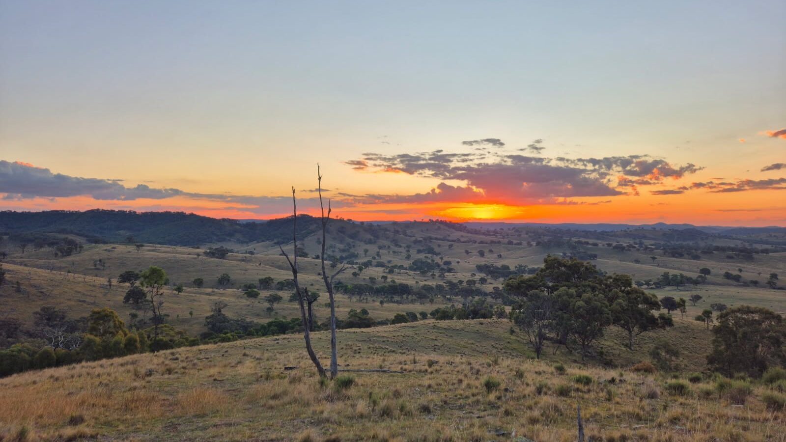 For Sale - 1887 Queens Pinch Road - New Property in Mudgee - Real Estate by Sara Perry