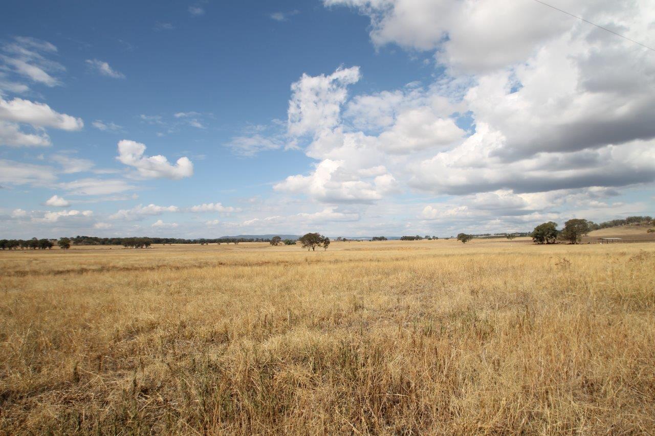 Sold - 141 Grimshaw Lane - New Property in Gulgong - Real Estate by Alyse Withers