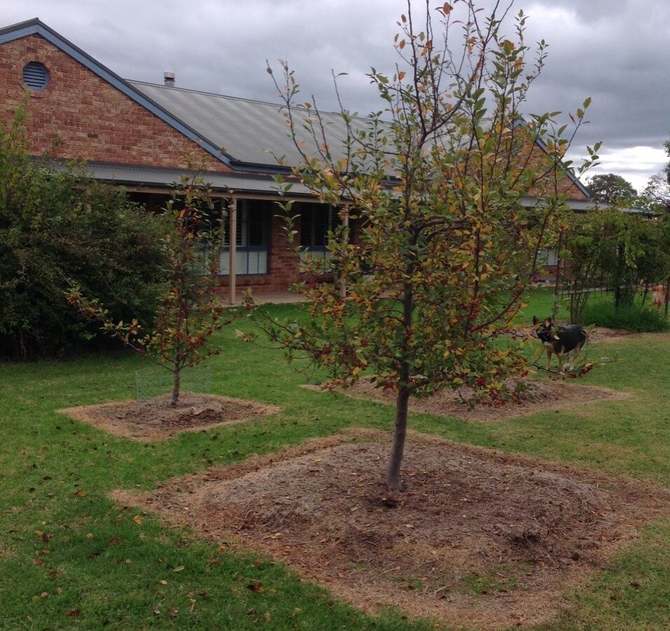 Sold - 15-17 Wiradjuri Close - New Property in Mudgee - Real Estate by David Goldring