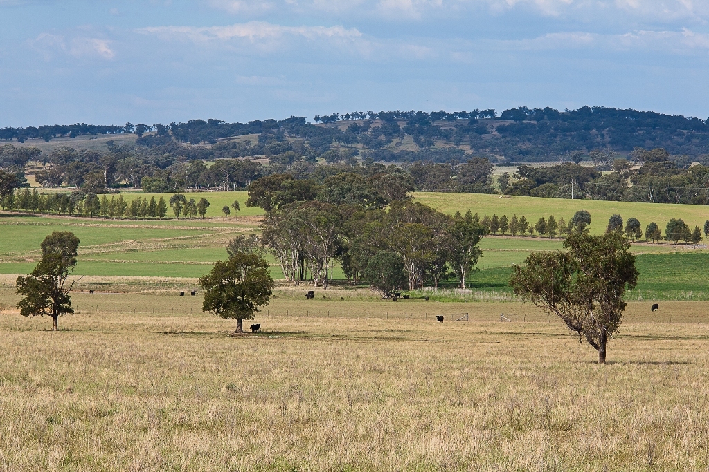 Sold - 2185 Castlereagh Highway - New Property in Galambine - Real Estate by Andrew Palmer