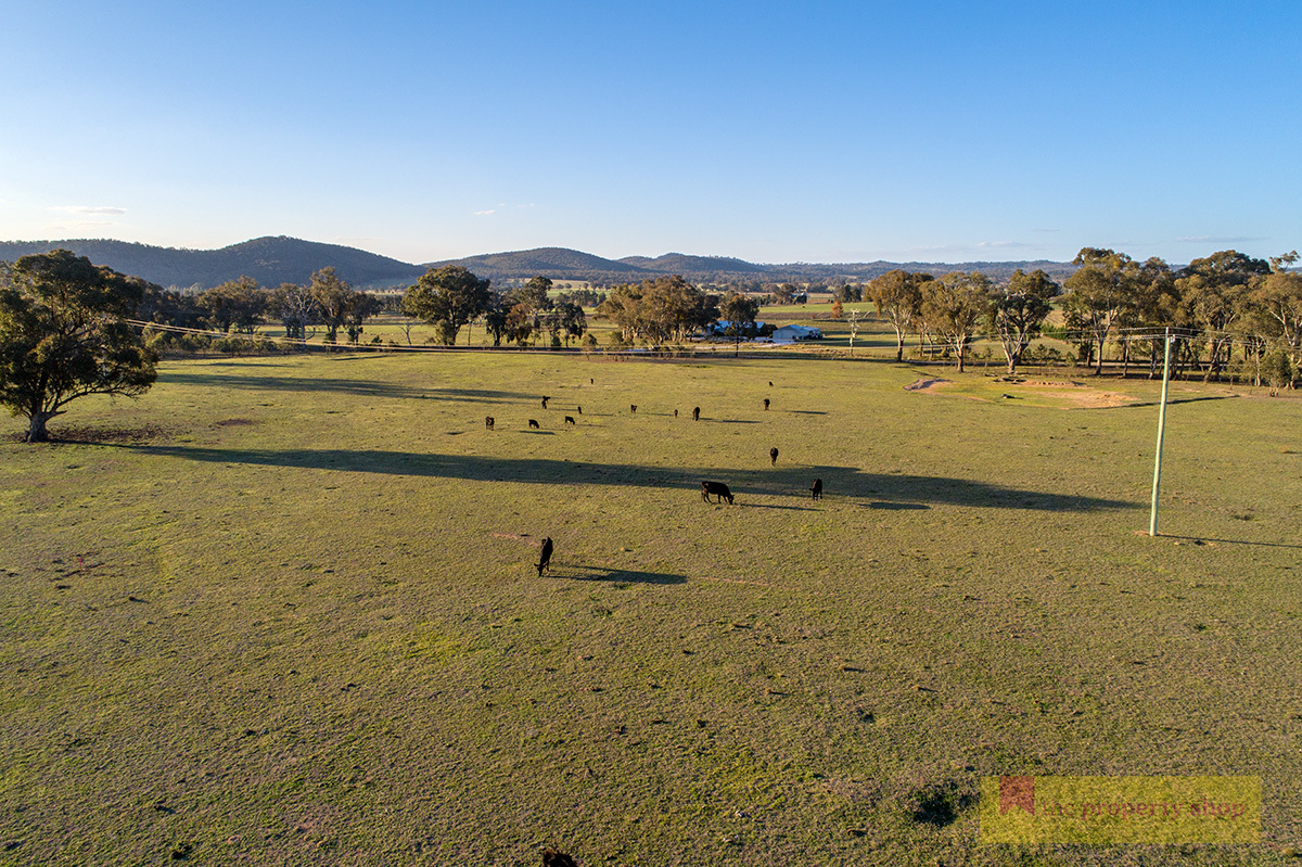 Sold - 131 Buckaroo Road - New Property in Mudgee - Real Estate by Andrew Palmer