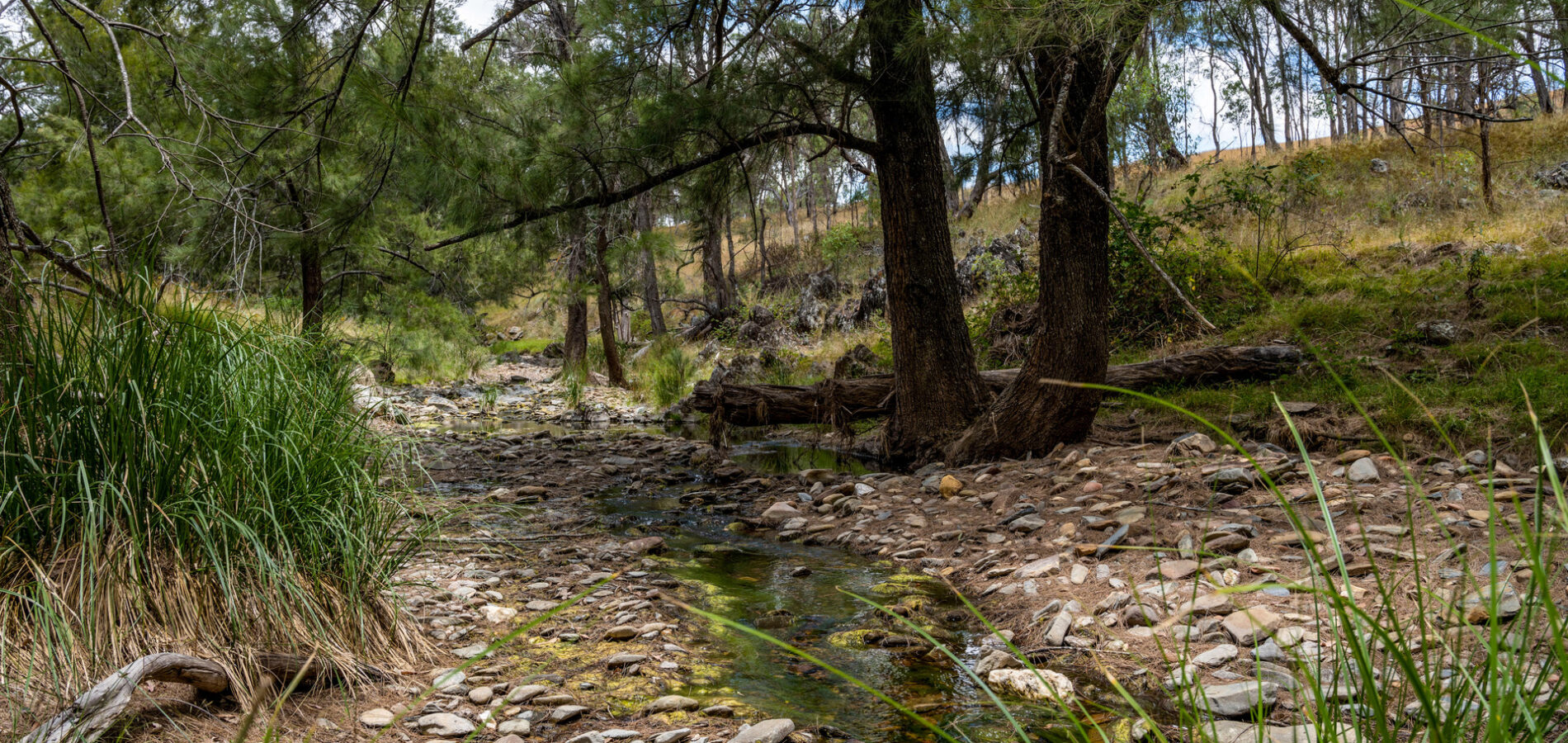 Sold -  Windeyer Road - New Property in Mudgee - Real Estate by Alyse Withers