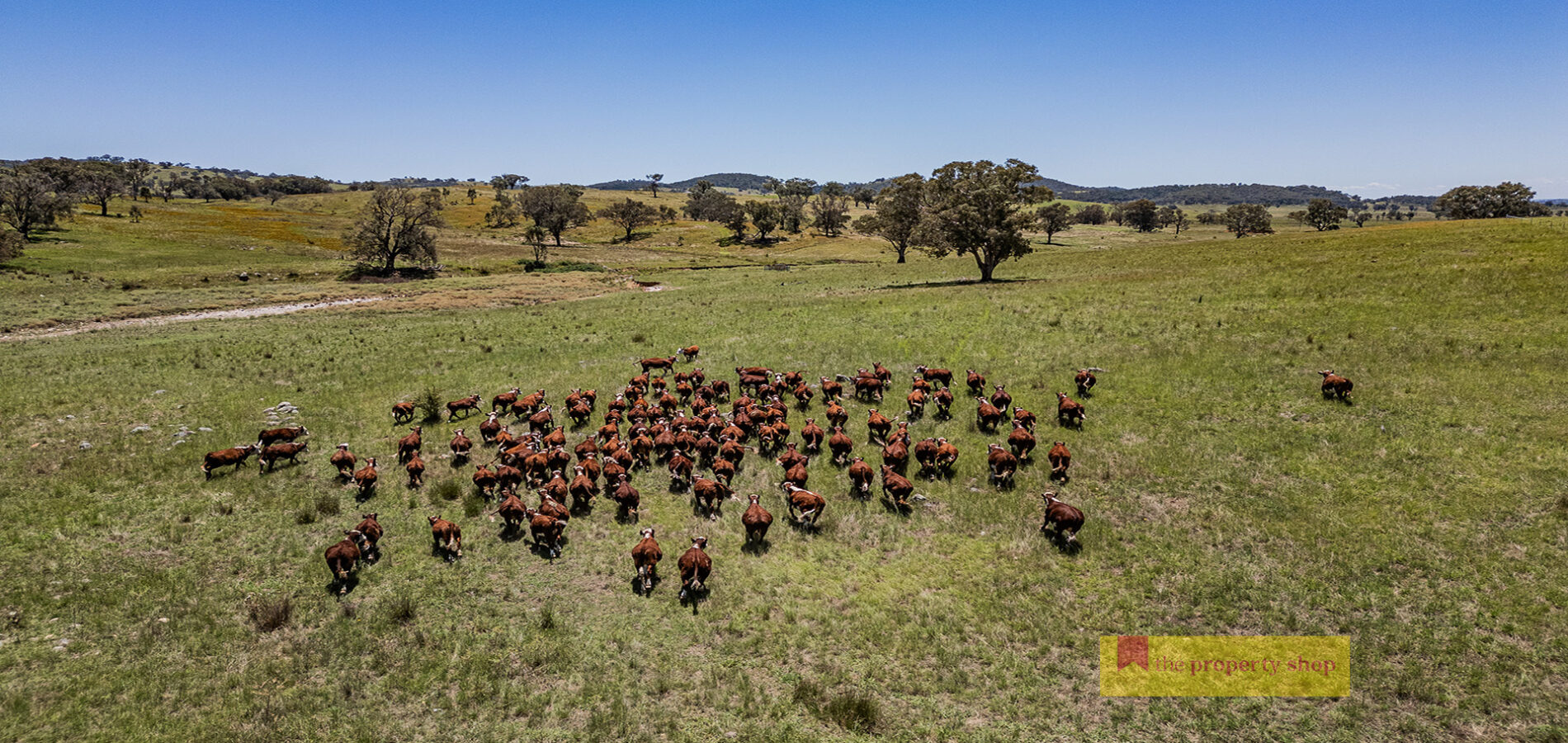 Sold - 735 Kaludabah Road - New Property in Mudgee - Real Estate by David Goldring