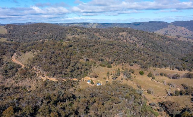For Sale - 1697 Triamble Road - New Property in Mudgee - Real Estate by Alyse Withers